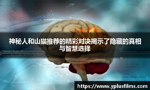 芒果体育